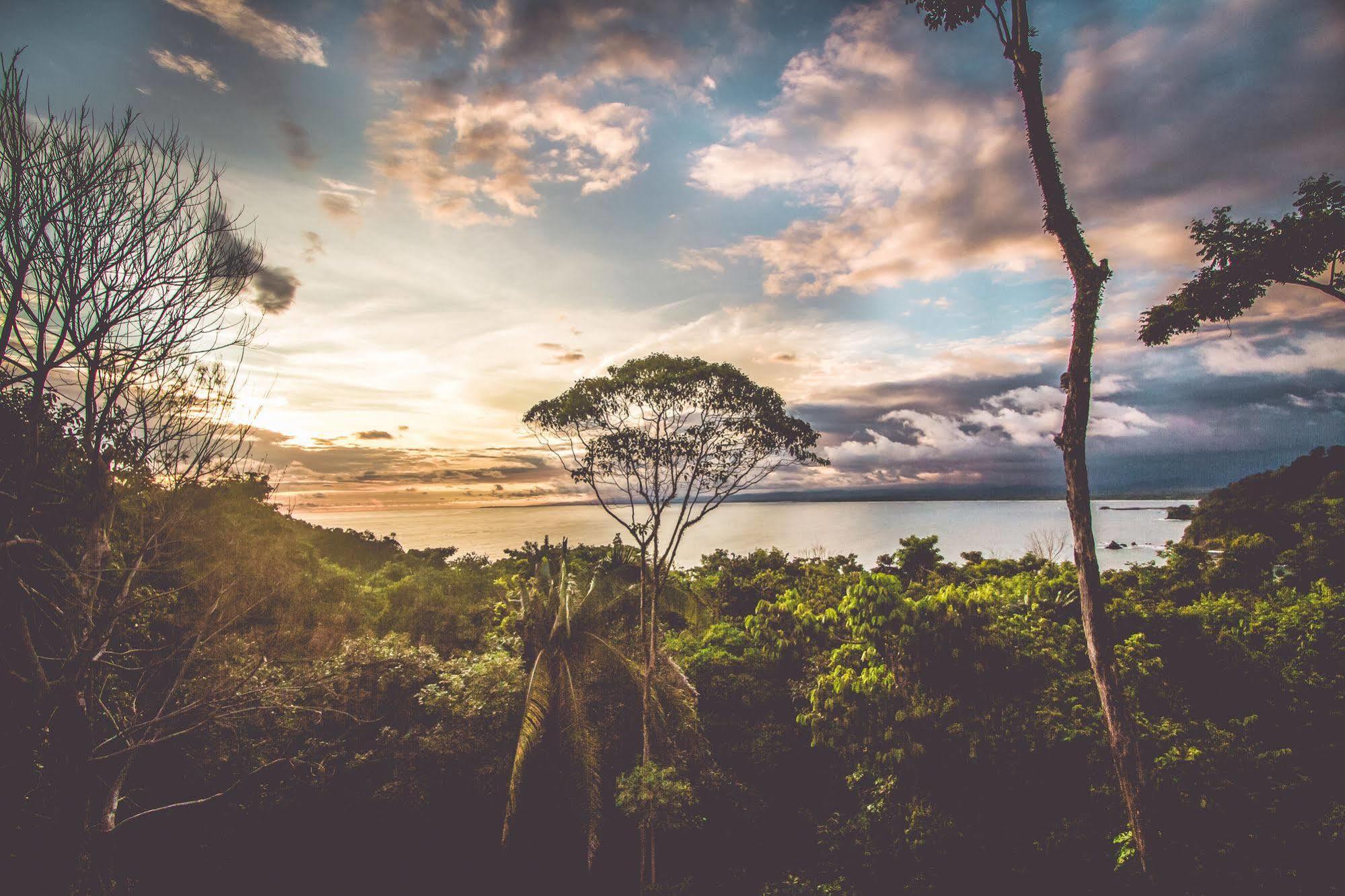 Issimo Suites Boutique Hotel & Spa - Adults Only Manuel Antonio Εξωτερικό φωτογραφία